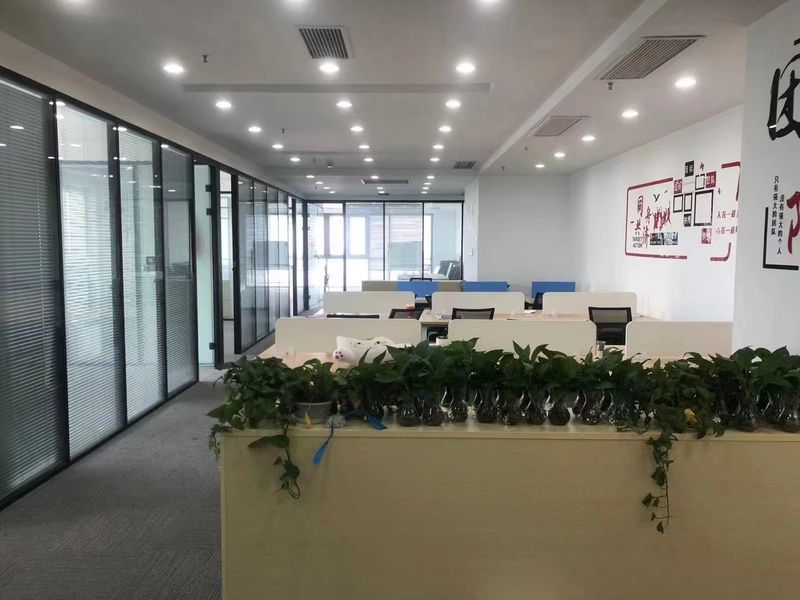 Çin Shanghai Zanyun International Trade Co., Ltd. 